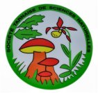 Cliquez pour aller sur le site