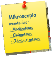 Mikroscopia recrute des : - Mod�rateurs - Animateurs - Administrateurs